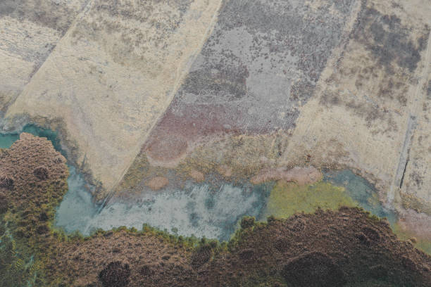 istock Landscape around San Miguel de Allende from above 2155591073