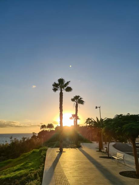 istock A beautiful orange sunset on the beach in Tenerife. 2155603453