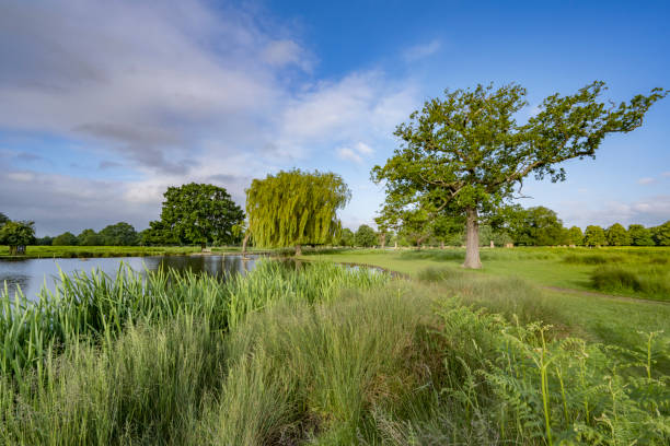 istock Sunny first day of June in Surrey 2155603788
