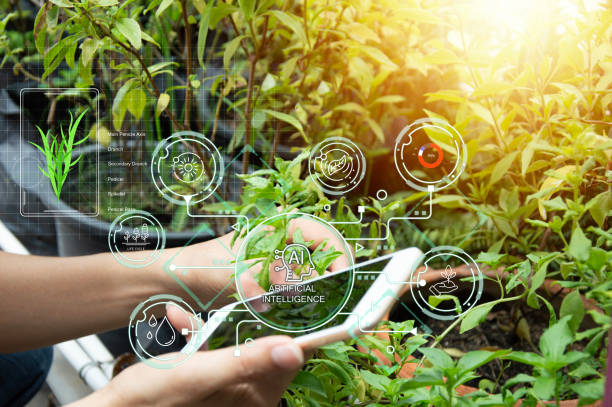 istock The concept of using AI and smart farming. 2155606520