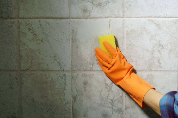 istock Woman while cleaning the bathroom. 2155610634
