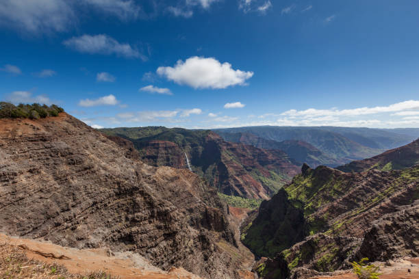 waimea canyon state park on kauai island, hawaii islands, usa.