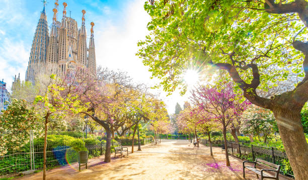 istock Blooming spring park in Barcelona city centre, Spain 2155616655