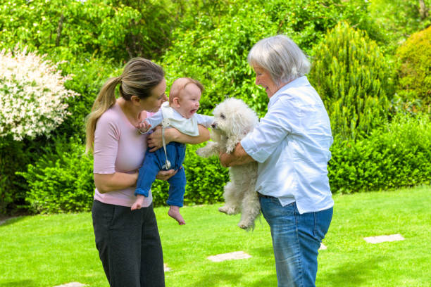 istock Three Generations Bonding with a Puppy in the Garden 2155618825