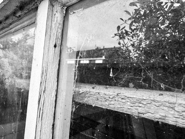 istock A dirty window with a house and trees reflections 2155622144