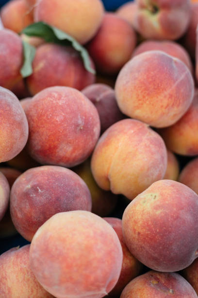 istock juicy fresh peaches on bazar 2155623843