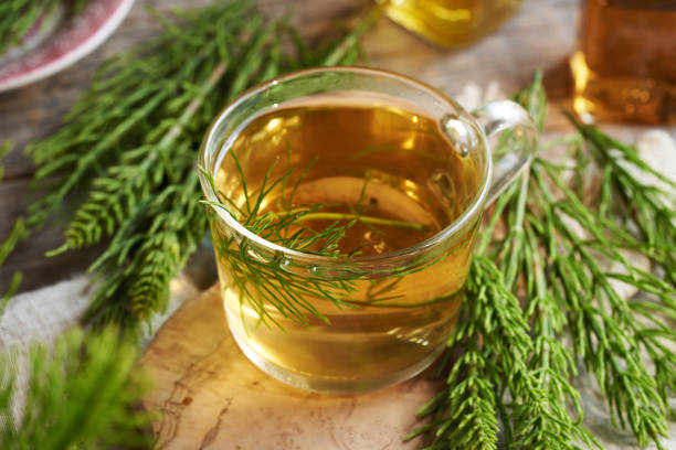 istock A cup of herbal tea with fresh horsetail plant on a table 2155625461