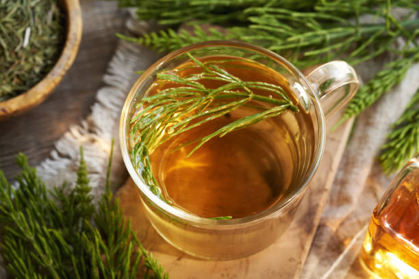 istock A cup of herbal tea with fresh horsetail twigs on a table 2155625471