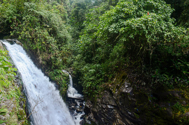 istock La Paz waterfalls in Costa Rica 2155625565