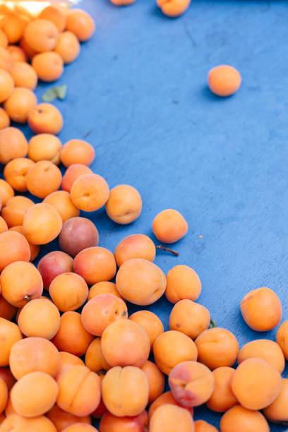 many fresh apricots on a tray on a bazaar counter