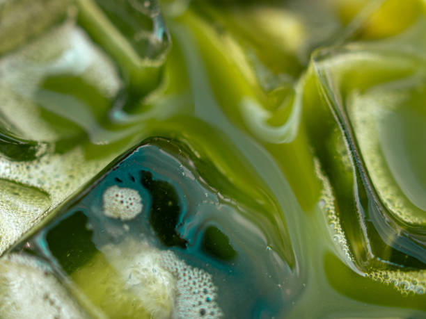 istock iced green tea close up 2155626697