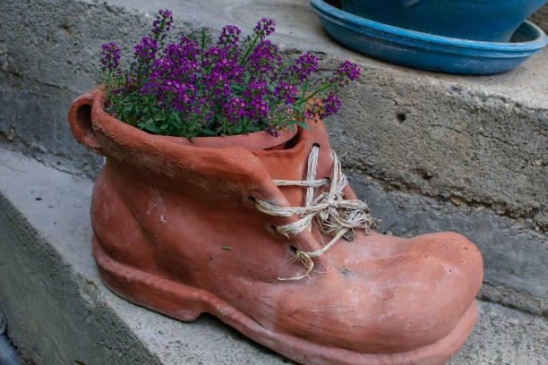 alyssym violet in a decorative pot in the shape of a shoe in front of the house in the yard.  beautiful purple flowers