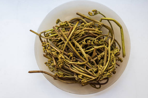 istock boiled fern on a plate 2155634122