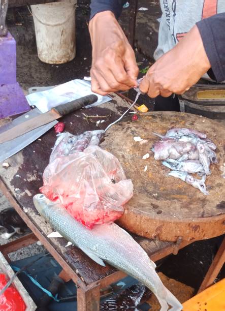istock fresh water fish, sea fish, shrimp, chicken which are still fresh which are placed in cardboard boxes filled with ice cubes to keep them cold and fresh ready to be sold to buyers 2155640045