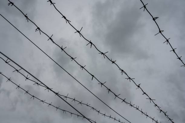 Close-up of barbed wire on gray clouds background