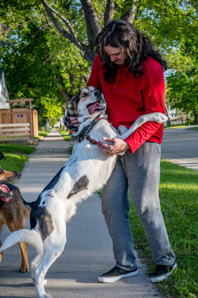 istock Affectionate Moment: Mixed Breed Dog and Hispanic Owner 2155652181