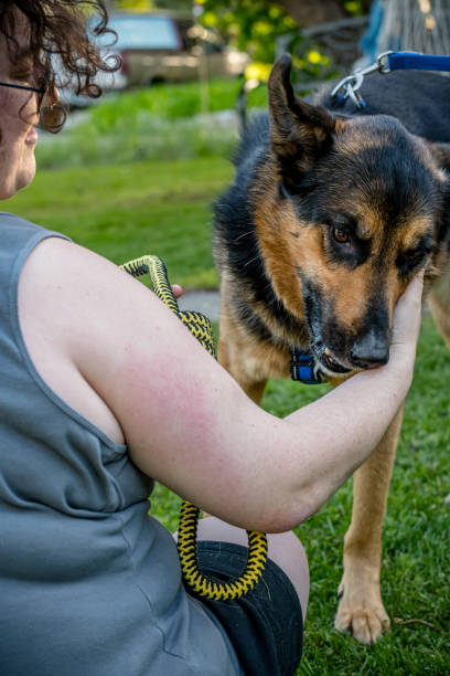 istock Nonbinary Person Sitting on Lawn with Rescue Dog Outdoors 2155652225