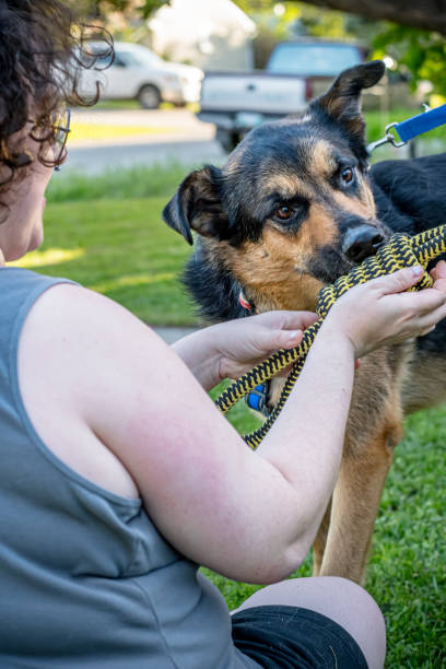 istock Nonbinary Person Sitting on Lawn with Rescue Dog Outdoors 2155652233