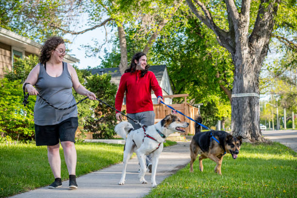 istock training Dogs walking on Sidewalk: Nonbinary Person and hispanic partner 2155652272