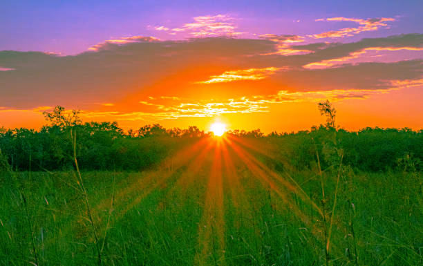 istock Colorful Sunset Over a Florida Sawgrass Prairie 2155655426
