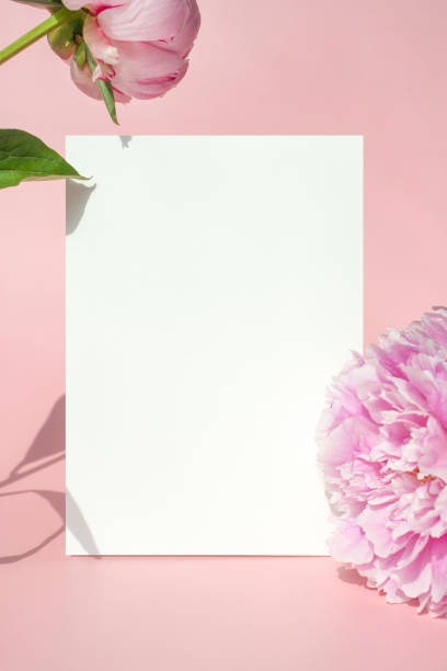 istock Peony flowers and card Mock-up 2155657841