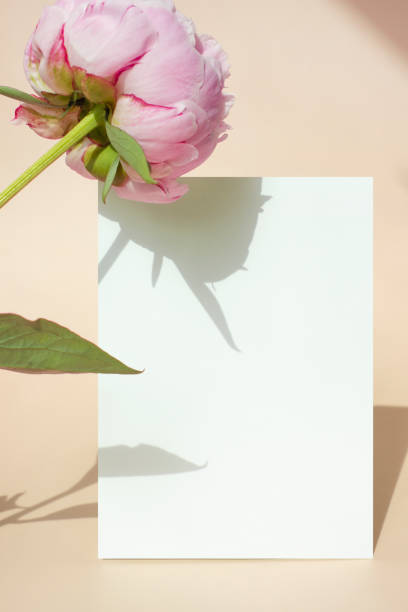 Flower and Card Mock-up
