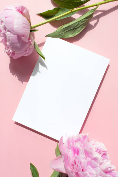 istock flowers and Card Mock-up 2155657869