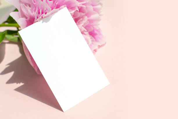 istock Peony flowers and business card Mock-up 2155657949