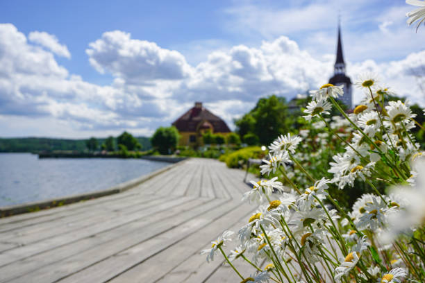 Close-up of flowering plants against cloudy sky