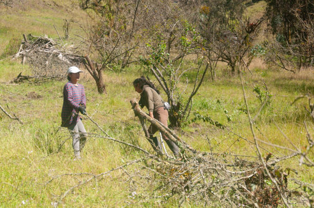 Two tourists doing volunteer tourism helping to sustain the place after a natural disaster Two tourists doing volunteer tourism helping to sustain the place after a natural disaster The Role of Volunteers in Disaster Relief Efforts stock pictures, royalty-free photos & images