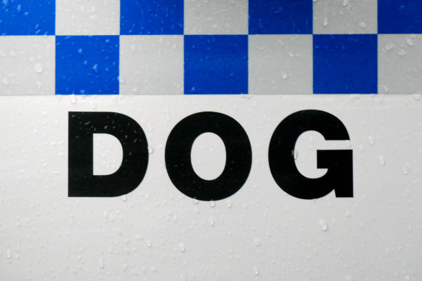 istock Police Dog Squad Insignia 2155665997