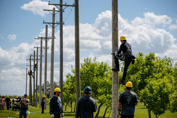Two electricians look up at a street light. Troubleshooting and power outages.