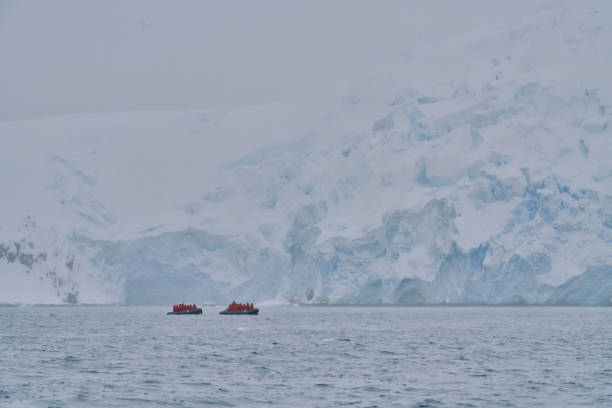 istock Zodiac Expeditions in Cierva Cove, Antarctica 2155666445