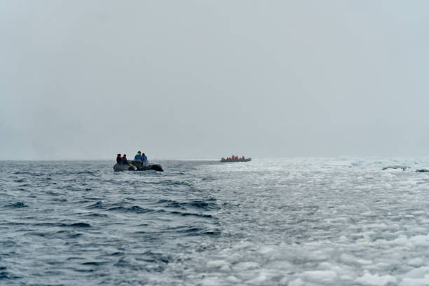 istock Zodiac Expeditions in Cierva Cove, Antarctica 2155666465