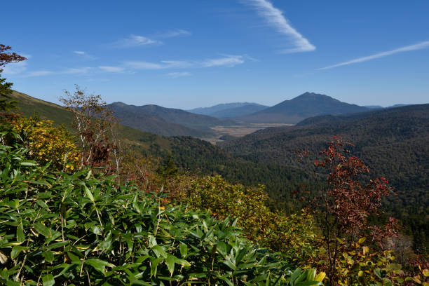 istock Mt. Shibutsu, Oze, Gunma, Japan 2155668854