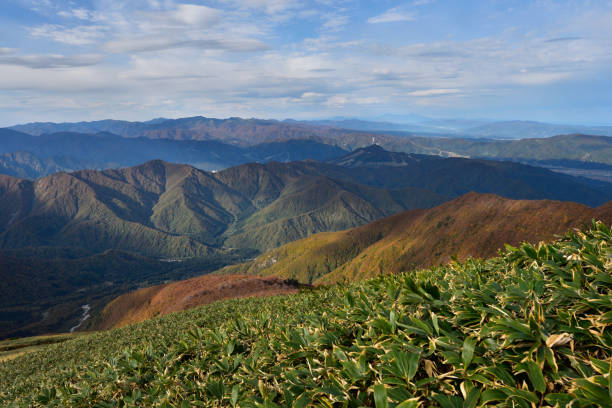 istock Climbing  Mount Makihata, Niigata, Japan 2155669247