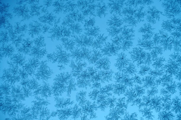 frost crystal on window glass in winter season