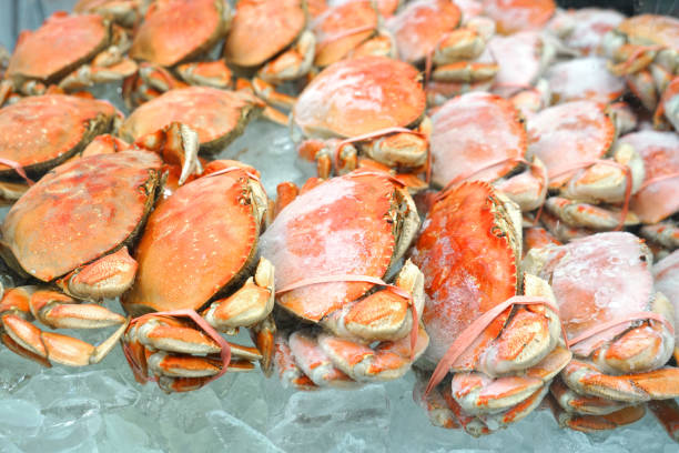 istock Frozen cooked red crab on the ice for sale 2155670273