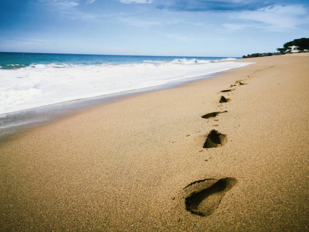 istock Footprints in the sand by the sea 2155672268