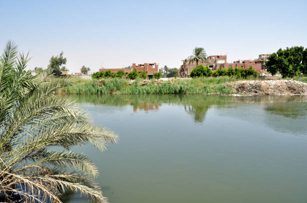 Rural scene with lake view, Minya Governorate.