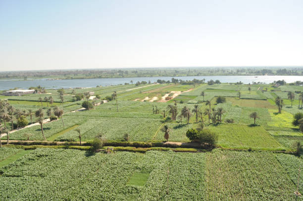 istock Rural scene, Minya Governorate. 2155674033