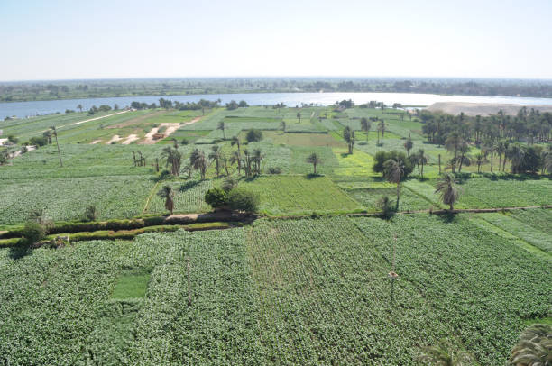 istock Rural scene, Minya Governorate. 2155674205