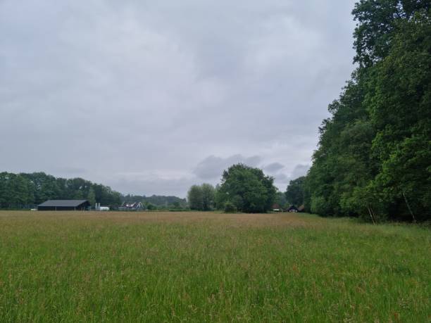 istock Scenery at dutch Veluwe, Moor and trees 2155675145