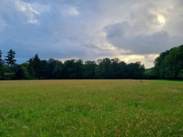 istock Scenery at dutch Veluwe, Moor and trees 2155675155