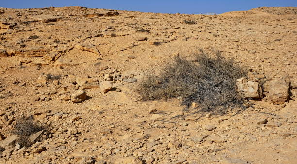 istock Crater at Mitzpe Ramon 2155675525