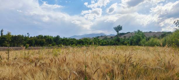 istock Beauti Nature of Afghanistan 2155679698