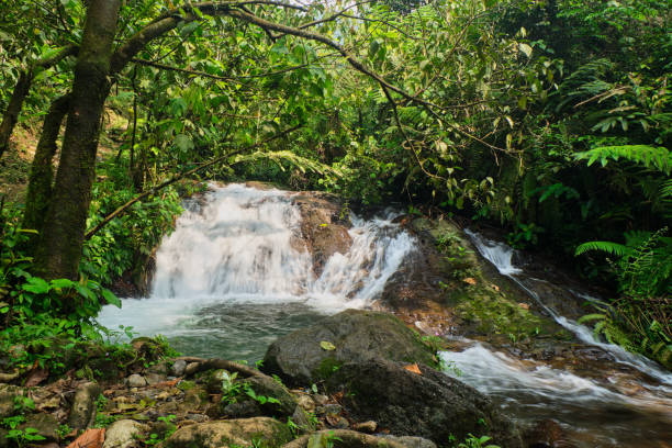 istock Cascading Beauty: Layered Waterfall in Halimun Salak, Indonesia 2155682374