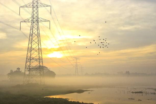 Rural winter foggy morning sunrise - landscape overcast with fog over Agricultural farmland, river front and birds flying nearby