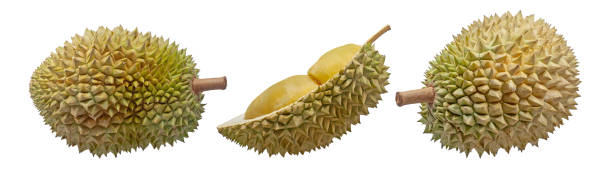 istock Durian fruit isolated on white background.jpg 2155684288