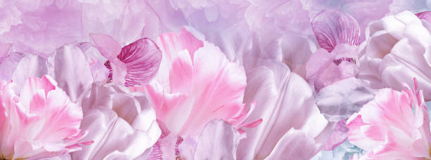 istock Elegant background with tulips and iris flowers. Pastel colors. 2155684546